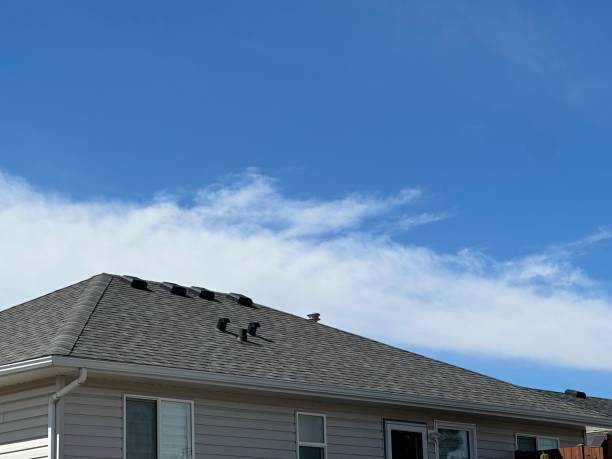 Best Roof Maintenance and Cleaning  in Dewey, OK